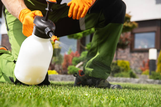 Best Pest Inspection Near Me  in Santa Cruz, CA