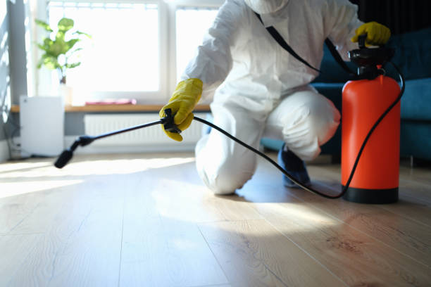 Best Local Pest Control Services  in Santa Cruz, CA